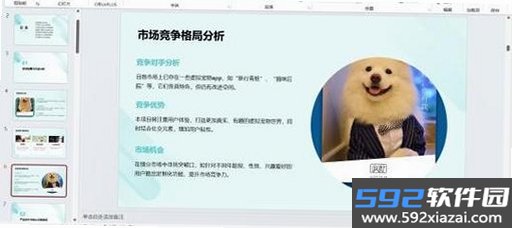 MeowMatch截图6