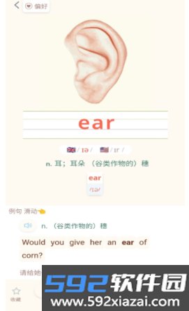 轻记单词免费版截图5