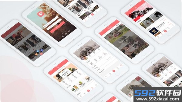 柴可里斯特截图4