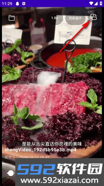 TikAlbum本地文件播放器截图1