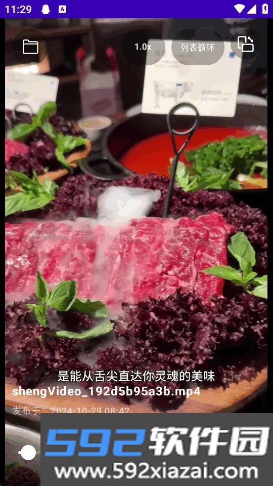 TikAlbum本地文件播放器截图4