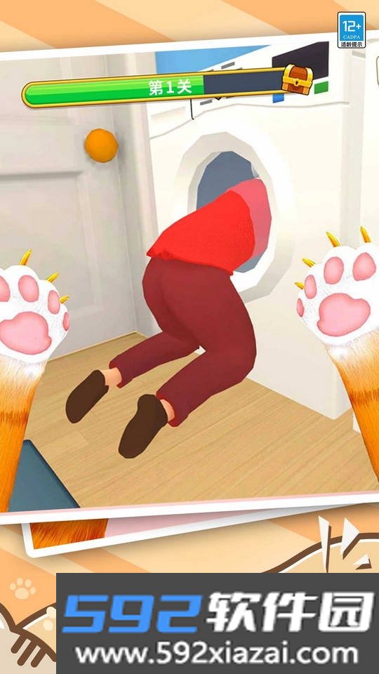 肥猫爱拆家
