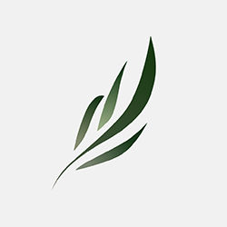 东南小说app官方手机版