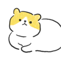 奇怪的猫最新版