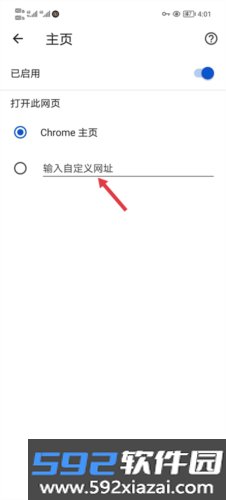 chromebeta最新版截图3