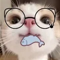 主题仓Pro软件安卓最新版本2026