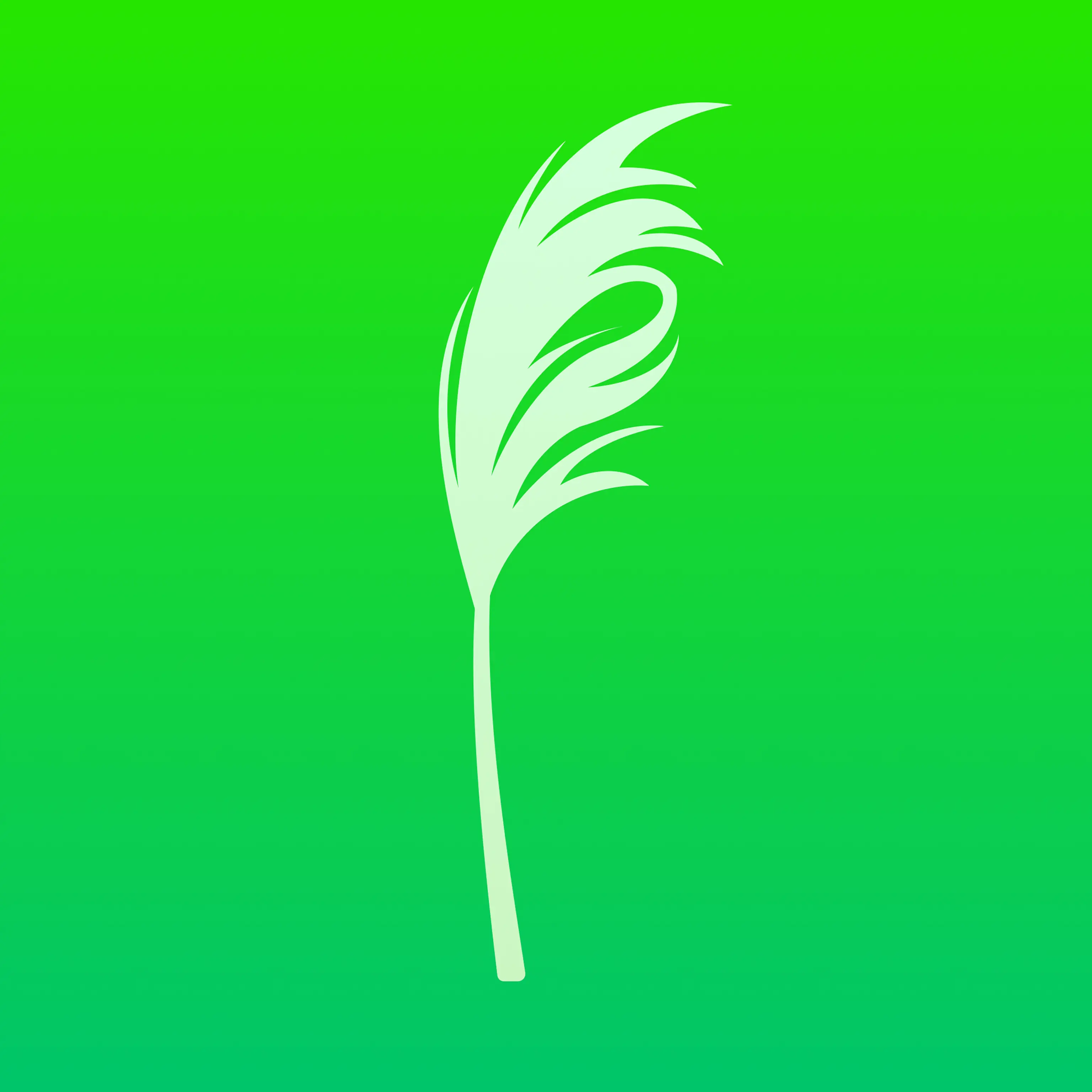 噜苇app安卓免费下载手机版
