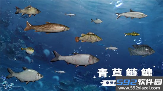 天天钓鱼内购免费版最新安卓下载截图5