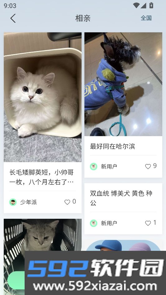 petmeet安卓最新版截图1