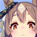 姬塔赛马娘助手台服版