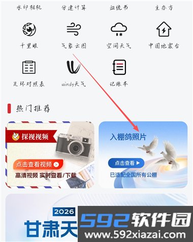 青鸽网app