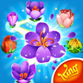 花花传奇最新版