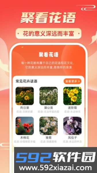 暖阳刷刷app截图4