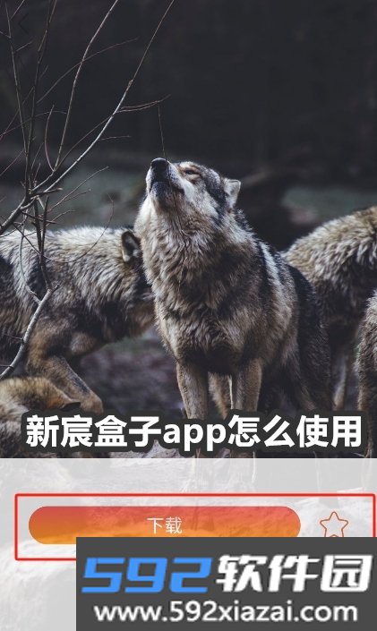 新宸盒子app安卓版截图3