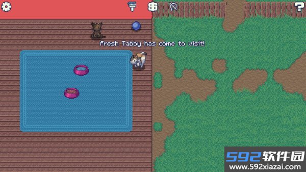 收养流浪猫