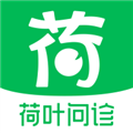 荷叶问诊app免费版