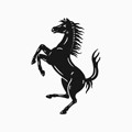 MyFerrari app