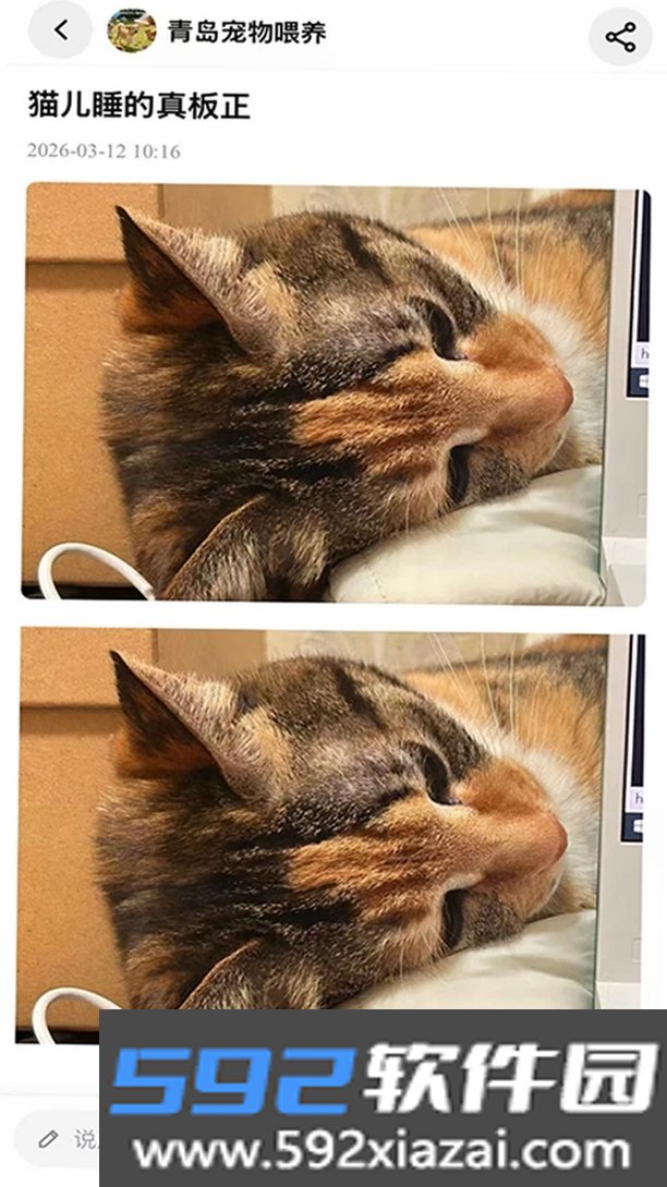 PetPandora宠物社区截图3