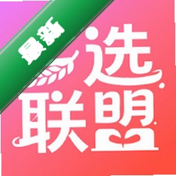 乡选联盟