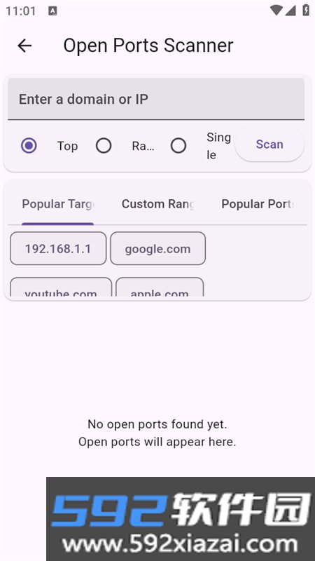 Vernet网络分析app手机版截图5