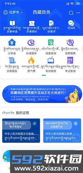 西藏政务服务大厅平台