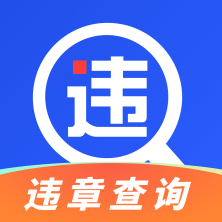 车管违章查询软件2024安卓最新版