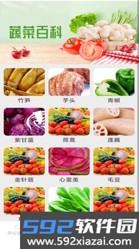 美食多点点