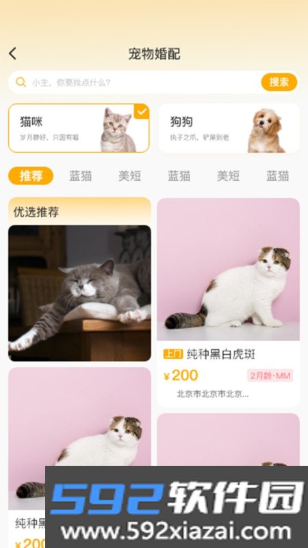喵鑫球宠物平台