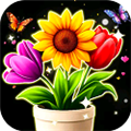花朵物语红包版