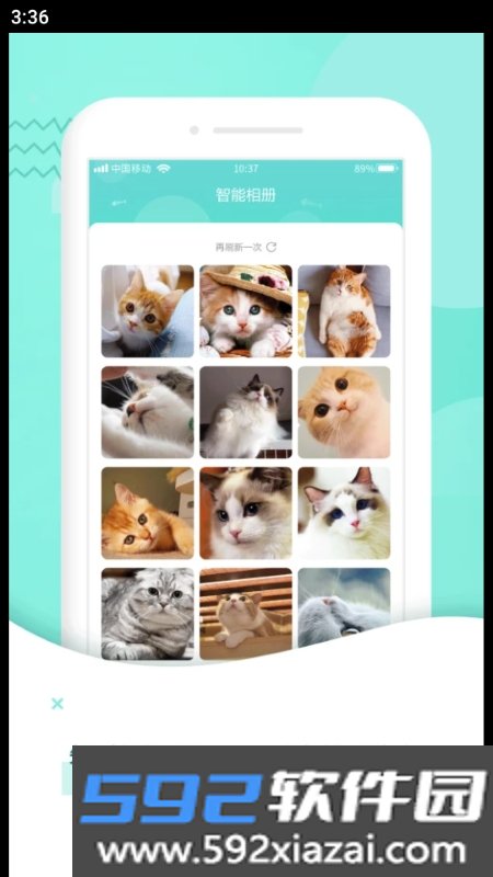 宠猫翻译