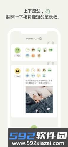 天天豆