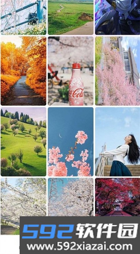 唐彩壁纸app官方版截图1