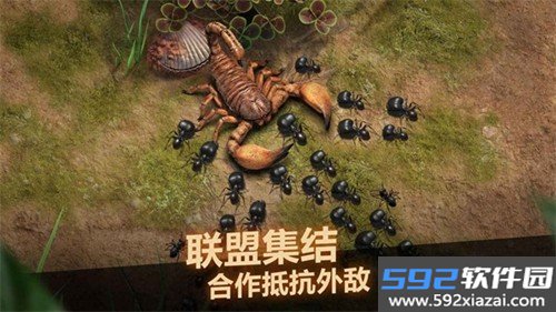 小小蚁国台湾版截图4