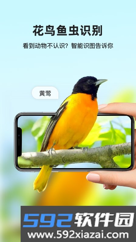 凤灵智能识图软件最新版截图2