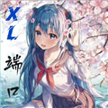 XL公益端口免费版