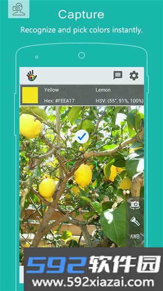 Color Grab安卓版截图2