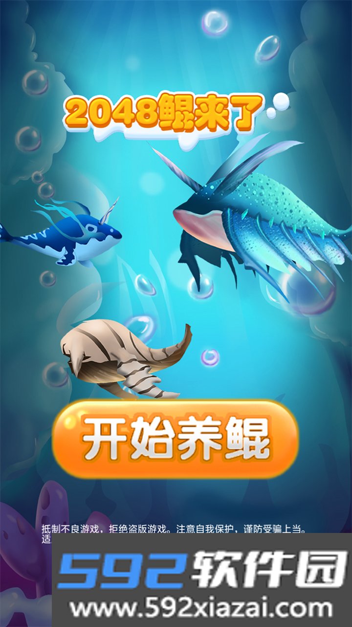 2048鲲来了截图2