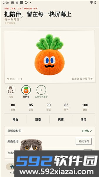 Mochi桌宠