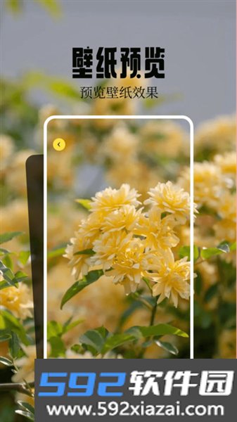 桌面壁纸精灵app截图2