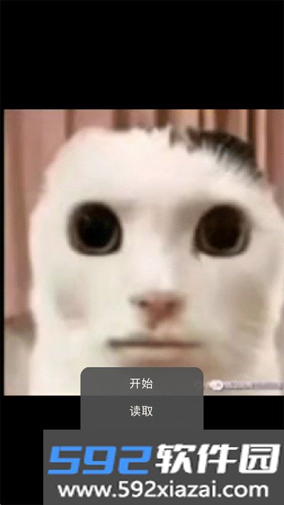 猫猫惊魂游戏官方正版下载截图0