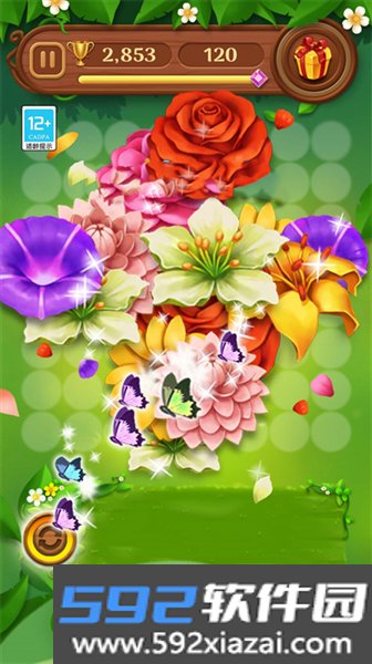 花朵轻松消小游戏截图3