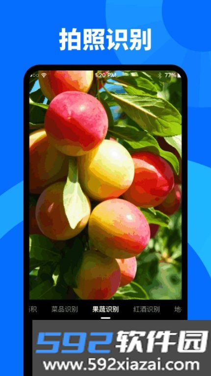 扫描识图大师app免费版截图3