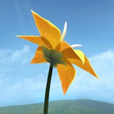 Flower花安卓版下载