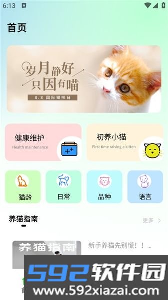 猫眼精灵截图1