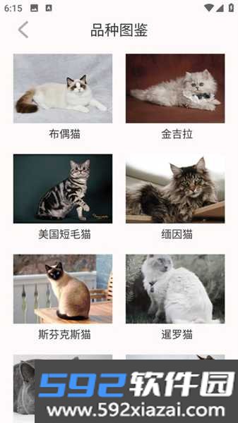 猫眼精灵截图3