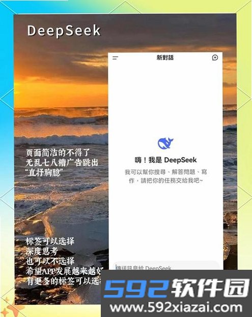 DeepSeek Agent Terminal截图5