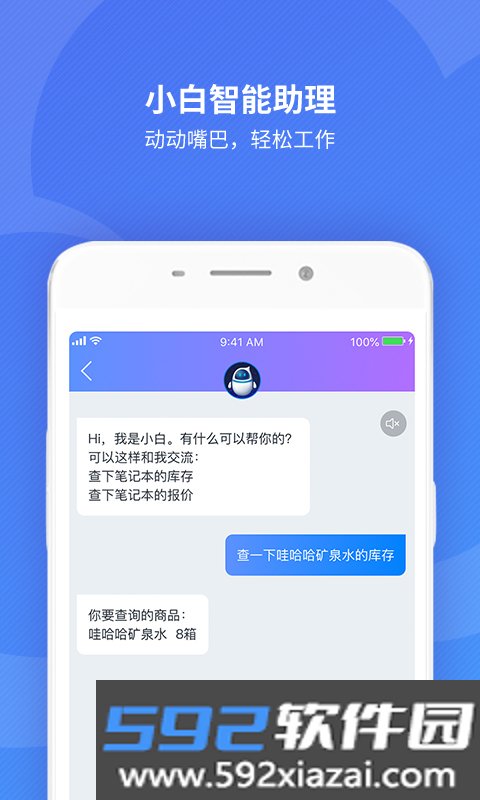 金蝶精斗云标准版截图1