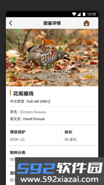 识鸟家app