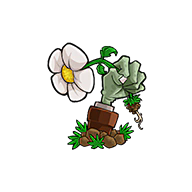 植物大战僵尸天赋版