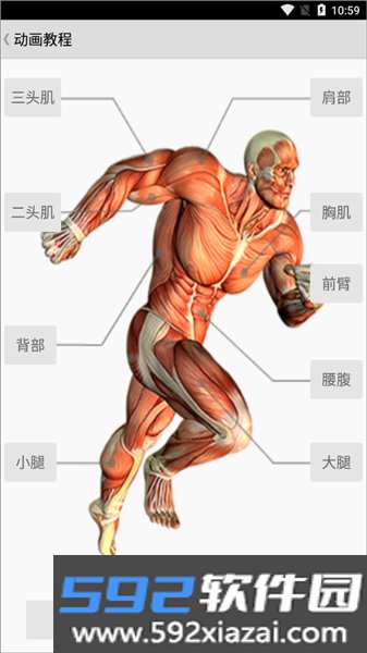 健身宝典